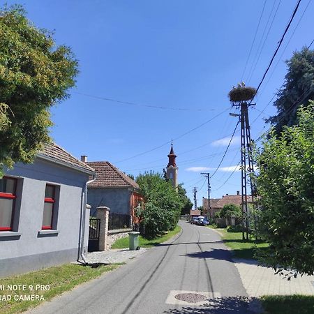 Luis Gólyás háza Villa Raposka Kültér fotó